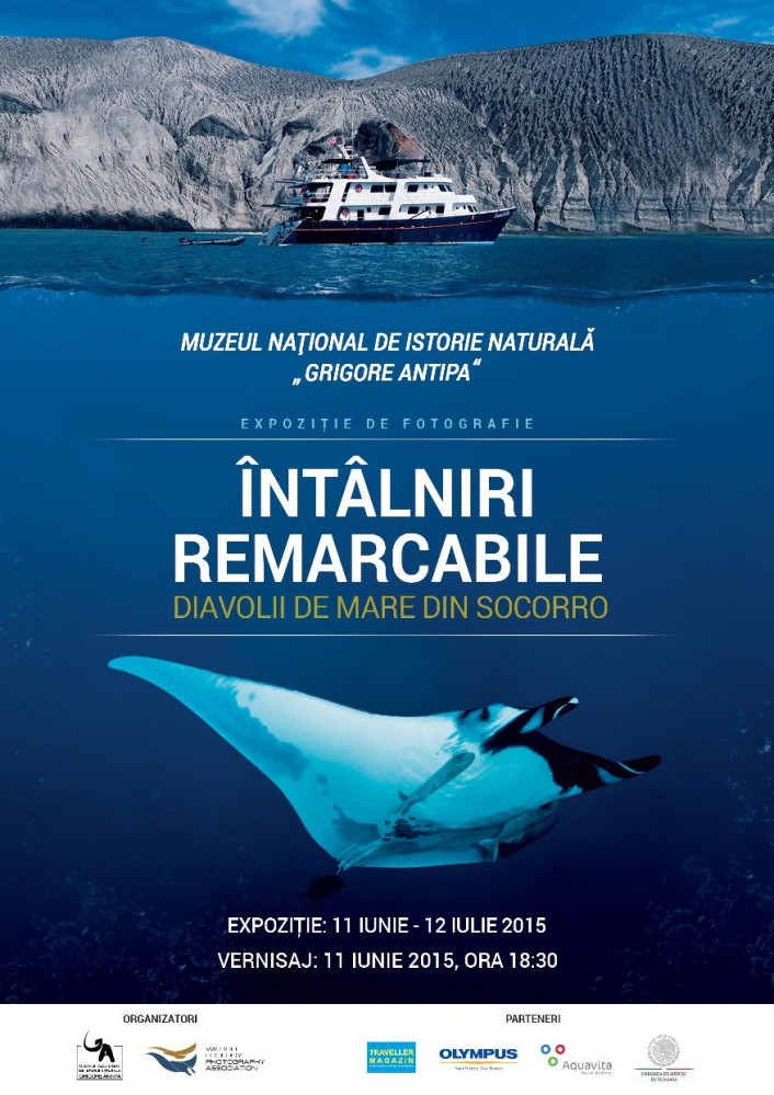 Diavolii de mare din Socorro ajung la Muzeul Antipa